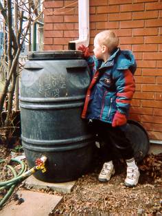 Pickle barrel become rainbarrel