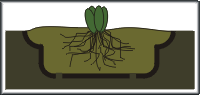minibog.gif - 4621 Bytes