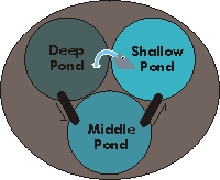 pond2.gif - 6614 Bytes