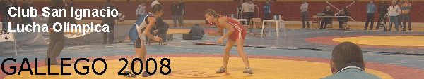 GALLEGO 2008