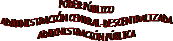PODER P�BLICO
ADMINISTRACI�N CENTRAL-DESCENTRALIZADA
ADMINISTRACI�N P�BLICA
