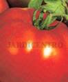 Tomate Maravilha dos Mercados - FL - 5g.