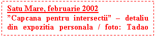 Text Box: Satu Mare, februarie 2002 
�Capcana pentru intersectii� � detaliu din expozitia personala / foto: Tadao Shibata
