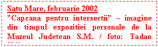 Text Box: Satu Mare, februarie 2002 
�Capcana pentru intersectii� � imagine din timpul expozitiei personale de la Muzeul Judetean S.M. / foto: Tadao Shibata
