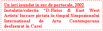 Text Box: Un ieri inundat in suc de portocale, 2002
Instalatie/colectia �D.Fleiss & East West Artists/ lucrare pictata in timpul Simpozionului International de Arta Contemporana desfasurat in Carei 

