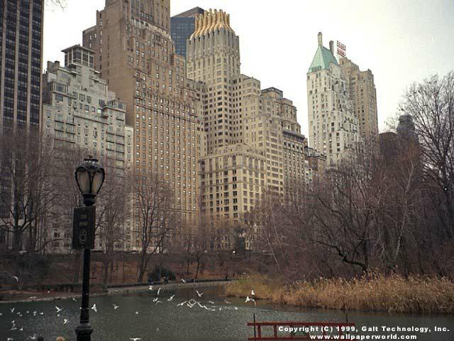 Central Park