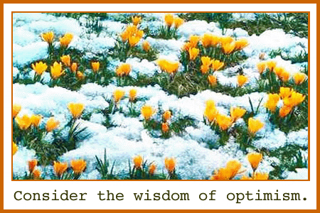 crocuses