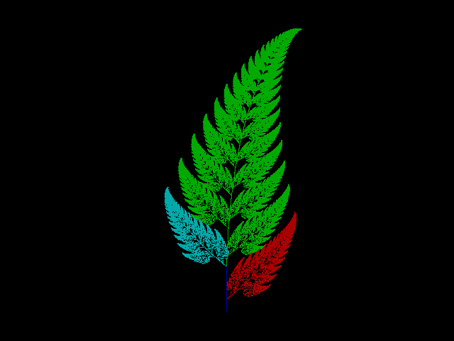 fractal image of a fern