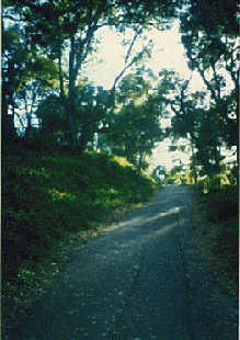 Synergy Hill