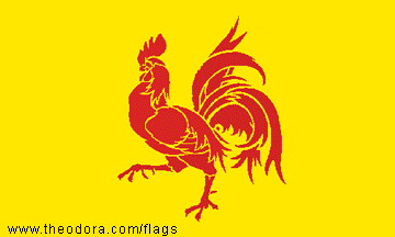 The Wallonian flag (french-speaking half)