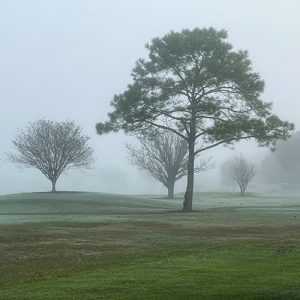 November Foggy Morning