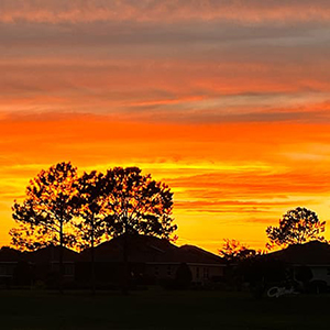 OTOW sunset