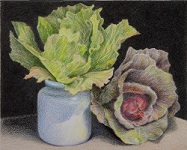 Roark-CP-cabbage