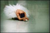 Swan Lake Rehersal