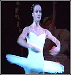 Swan Lake
