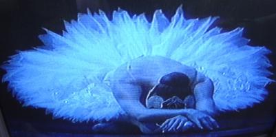 Lucinda in Swan Lake