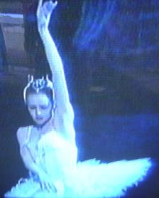 Swan Lake, Lucinda in Beyond 40