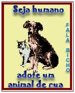 link - Fala Bicho