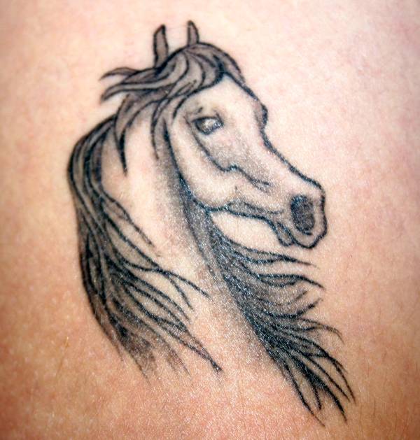 Horse Tat July 04