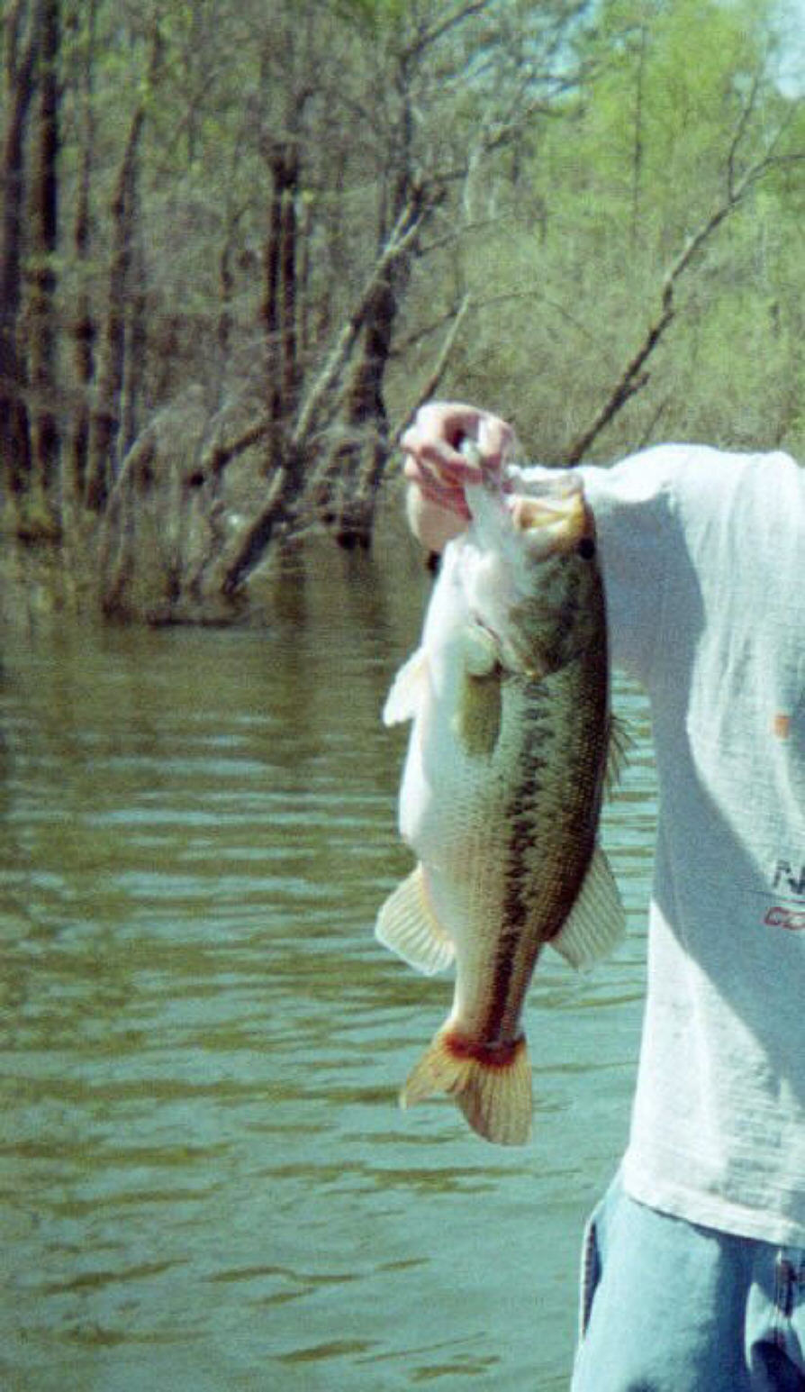 April 1999 B Everett Jordan Lake near Raleigh, NC