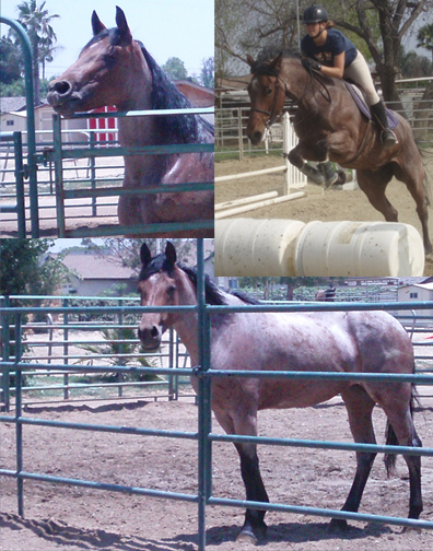Photo Collage &copy;2008. Do Not Duplicate.