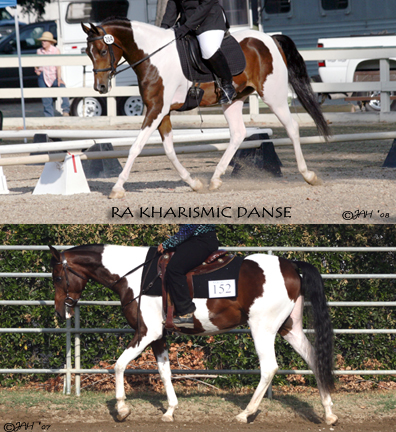 Photo Collage &copy;2007-2008 - JAH - Do Not Duplicate.