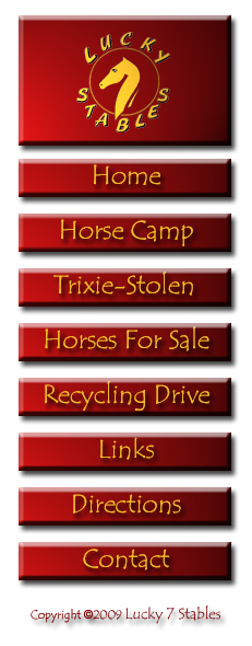 Lucky 7 Stables
