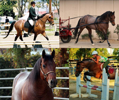 Photo Collage &copy;2007-2008 - Do Not Duplicate.