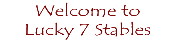 Welcome to Lucky 7 Stables!