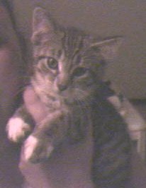 Baby Dale (yes as in Earnhardt...isnt SHE cute!?)