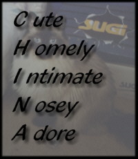 Chinas Poem