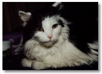 July 2000
