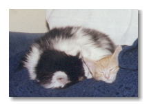 Lucky and Reggie January 2000