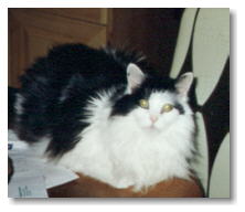 March 1998