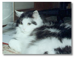 September 1999