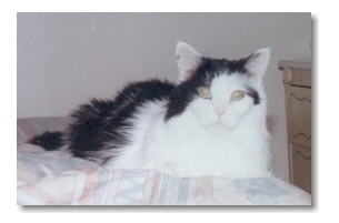 February 2000