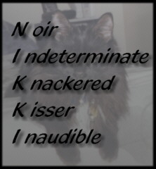 Nikkis Poem