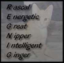 Reggies Poem