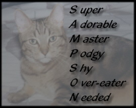 Sammys Poem