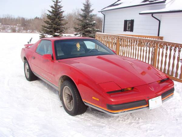 Firebird