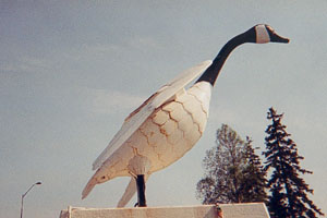 Photo # 72