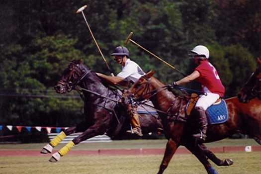 Members of the Loyola Polo Society battle it out