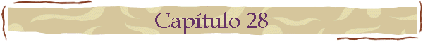 Cap�tulo 28