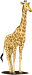 Giraffe4.gif (2056 bytes)