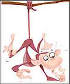 hanging monkey