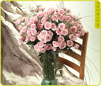 Premium Majolika Spray Roses