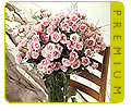 Premium Majolika Spray Roses