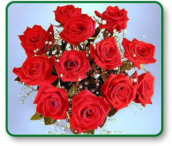 One Dozen Long Stemmed Red Roses