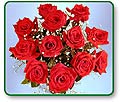 One Dozen Long Stemmed Red Roses