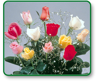 One Dozen Long Stemmed Assorted Roses